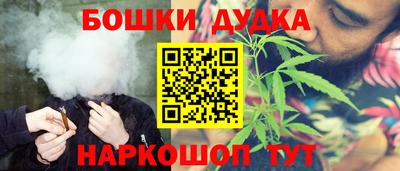 спайс Кингисепп