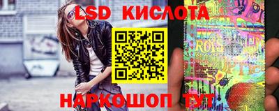 спайс Кингисепп