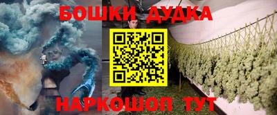 спайс Кингисепп